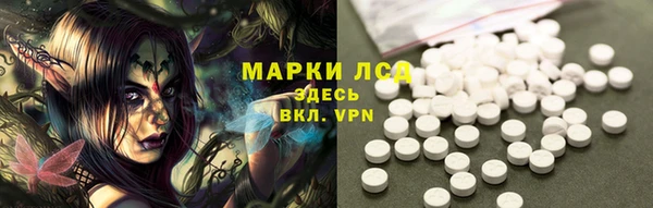 ПСИЛОЦИБИНОВЫЕ ГРИБЫ Магас